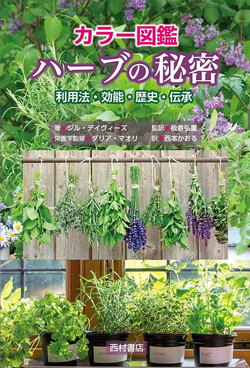 カラー図鑑　ハーブの秘密
