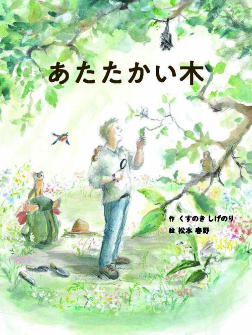 あたたかい木