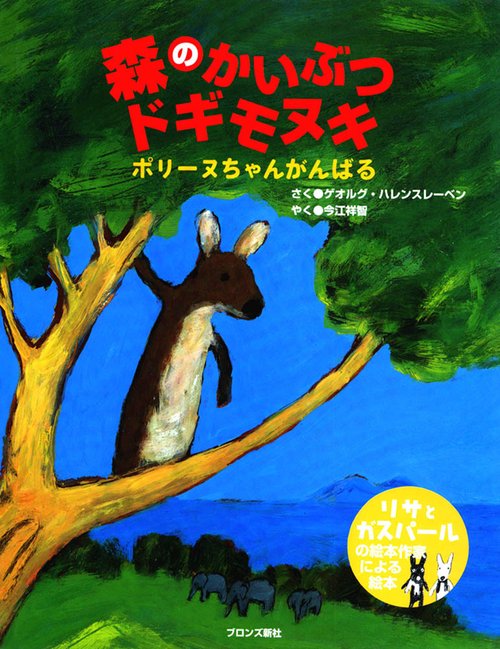 森のかいぶつドギモヌキ