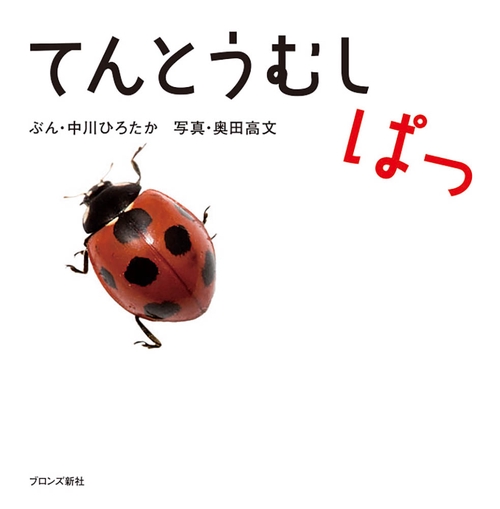 てんとうむしぱっ