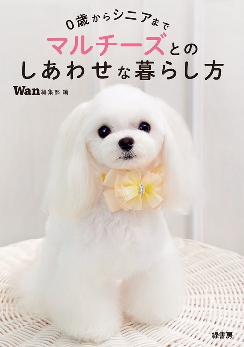 ０歳からシニアまで マルチーズとのしあわせな暮らし方