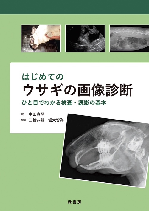 はじめてのウサギの画像診断