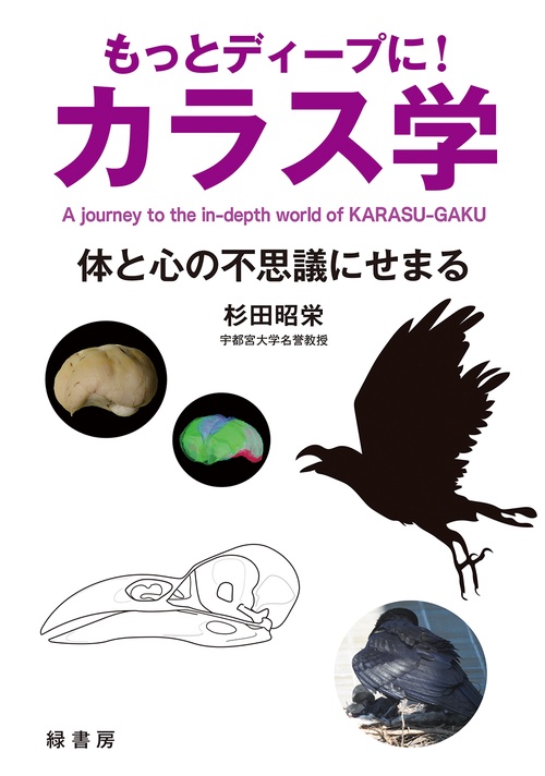 もっとディープに！ カラス学