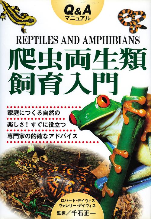 Q&Aマニュアル爬虫両生類飼育入門