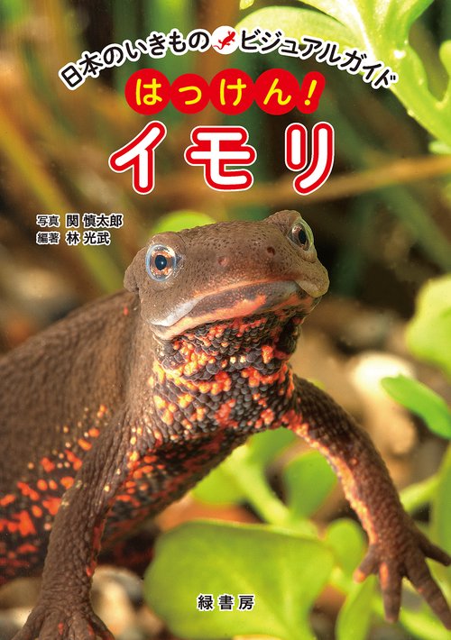 日本のいきものビジュアルガイド　はっけん！　イモリ
