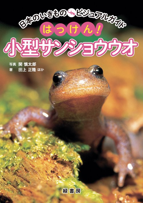 日本のいきものビジュアルガイド　はっけん！　小型サンショウウオ