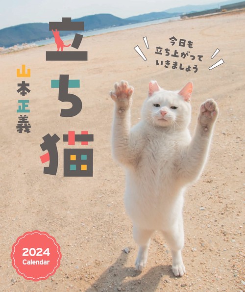 立ち猫カレンダー 2024