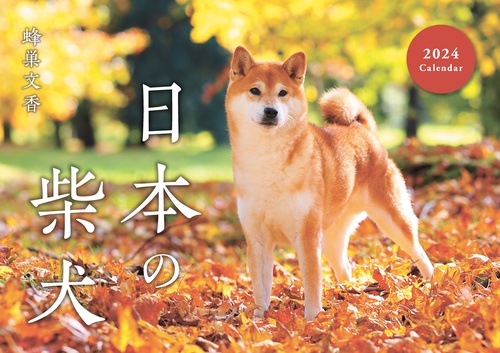 日本の柴犬カレンダー 2024
