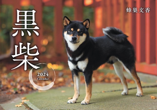黒柴カレンダー 2024