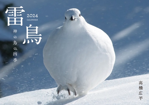 雷鳥 神の鳥の四季カレンダー 2024