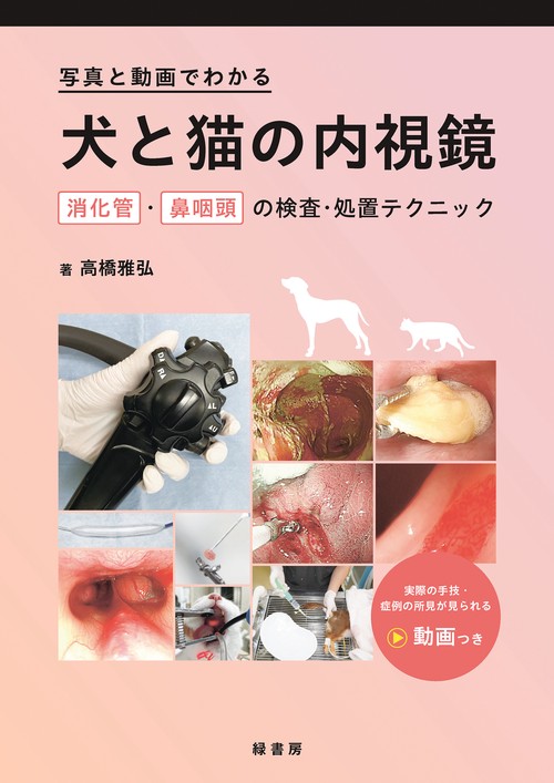写真と動画でわかる犬と猫の内視鏡