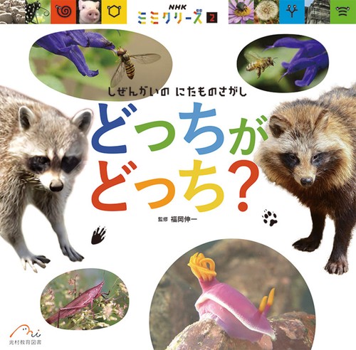 どっちが どっち？
