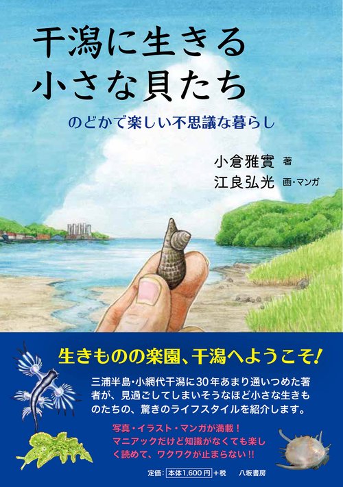 干潟に生きる小さな貝たち：のどかで楽しい不思議な暮らし