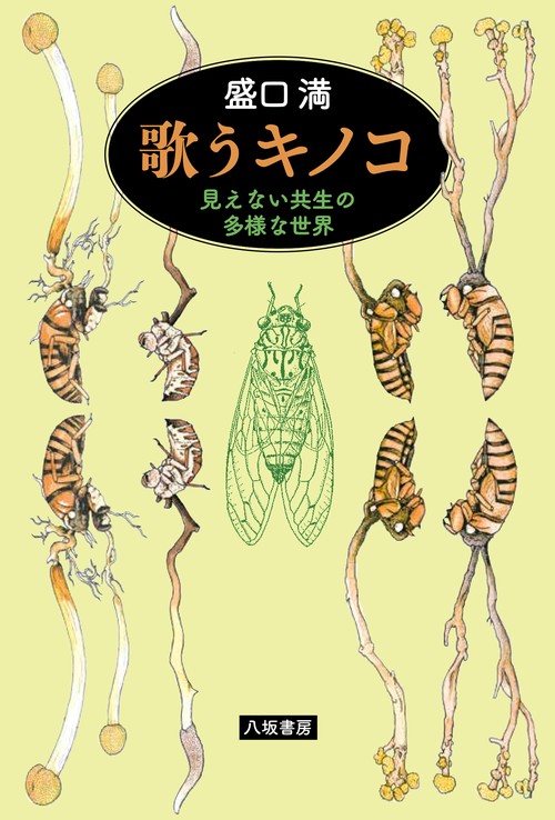 歌うキノコ：見えない共生の多様な世界