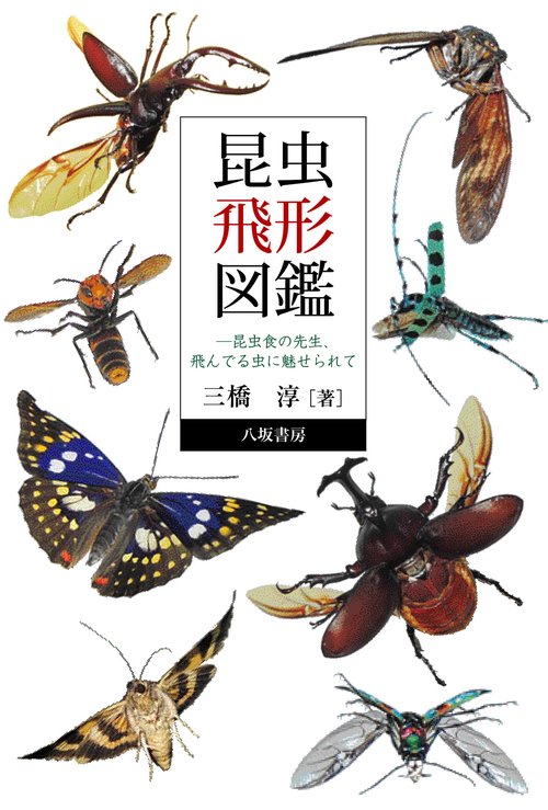 昆虫飛形図鑑