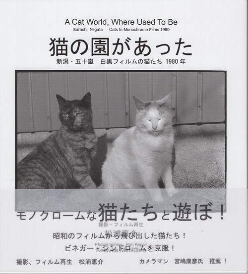 猫の園があった