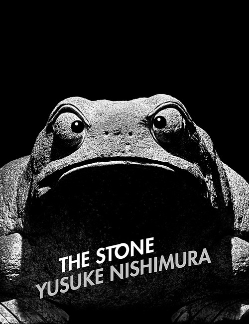 THE STONE / FROG