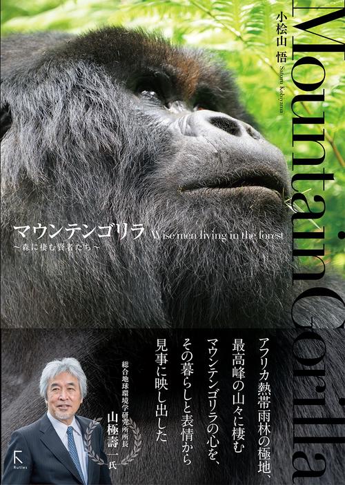マウンテンゴリラ森に棲む賢者たち