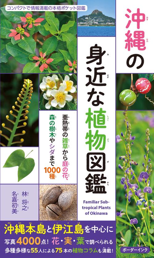 沖縄教材植物図鑑 路傍の草木 （琉球・沖縄）　　■A■ 沖縄の身近な植物図鑑 – 丸善ジュンク堂書店ネットストア