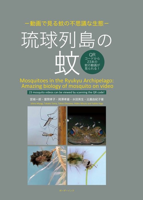 琉球列島の蚊　