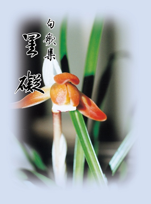 圭礙