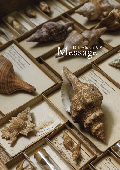 Message　―標本が伝える世界－