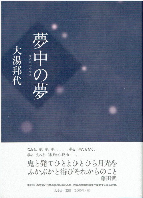 夢中の夢