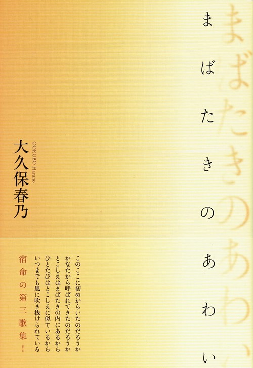 まばたきのあわい