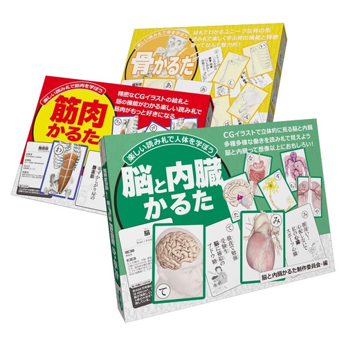 解剖学かるた3点セット　筋肉かるた+骨かるた+脳と内臓かるた