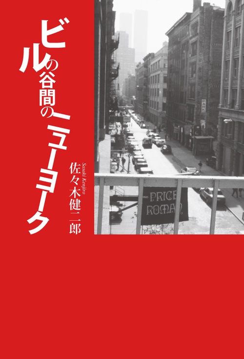 ビルの谷間のニューヨーク