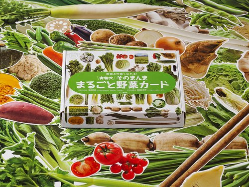 実物大・そのまんま  まるごと野菜カード