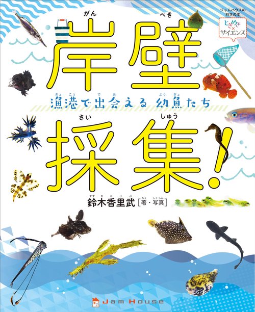岸壁採集！