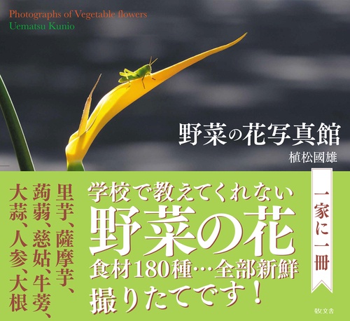 野菜の花写真館