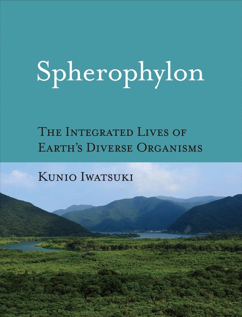 Spherophylon