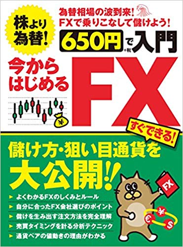 650円で入門今からはじめるFX すぐできる!儲け方・狙い目通貨を大公開!