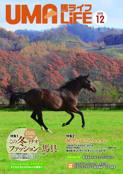 馬ライフ 2016-12