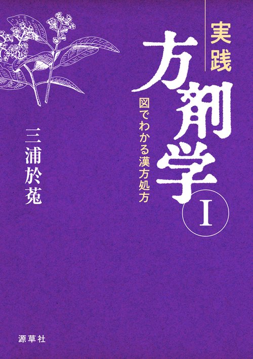 実践方剤学Ⅰ　図でわかる漢方処方