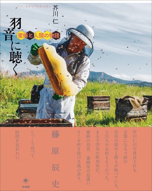 羽音に聴く