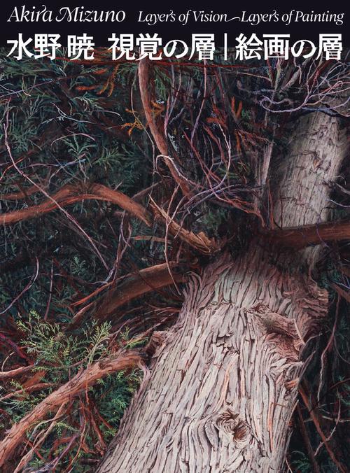 「水野 暁 視覚の層｜絵画の層」 作品集