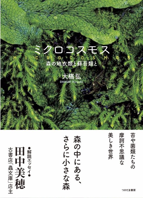 ミクロコスモス 森の地衣類と蘚苔類と
