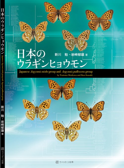 日本のウラギンヒョウモン