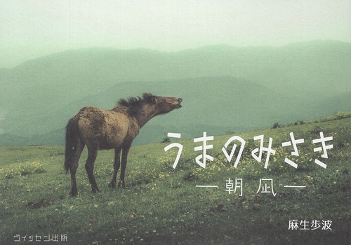 うまのみさき　朝凪