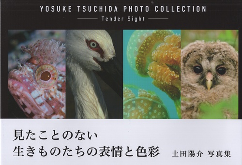 土田陽介　写真集　～Tender Sight～