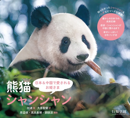 日本＆中国で愛されるお姫さま　熊猫シャンシャン