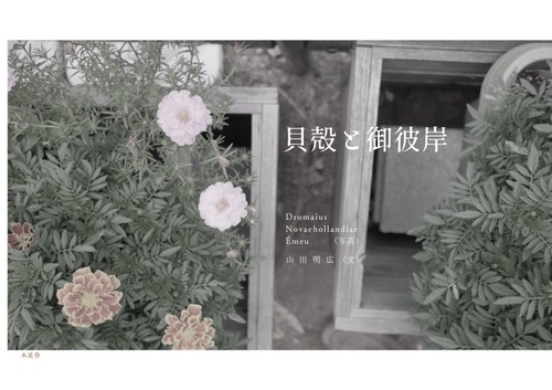貝殻と御彼岸