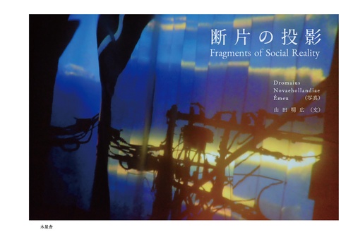 断片の投影　 Fragments of Social Reality