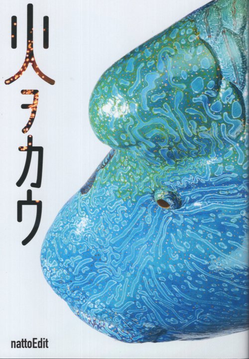 火ヲカウ 今井完眞作品集