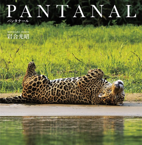 PANTANAL　パンタナール