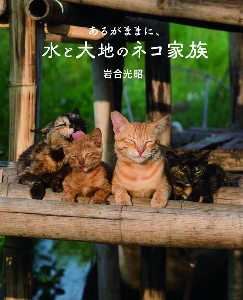 劇場版 岩合光昭の世界ネコ歩き　あるがままに、水と大地のネコ家族