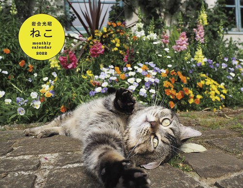 2022 岩合光昭 ねこ monthly calendar